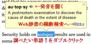googledict.jpg
